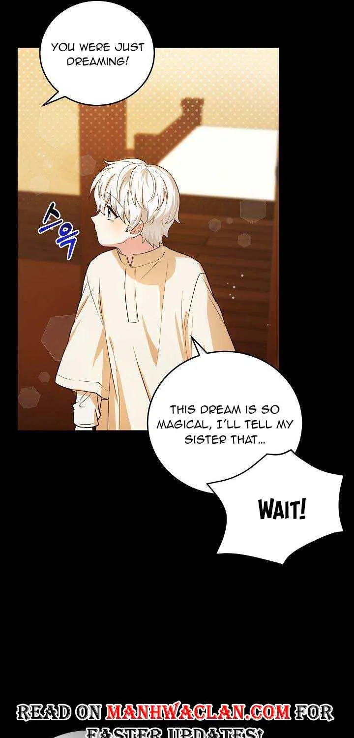 The Heroine Wants Me As Her Sister-in-Law Chapter 11 page 29 - 
