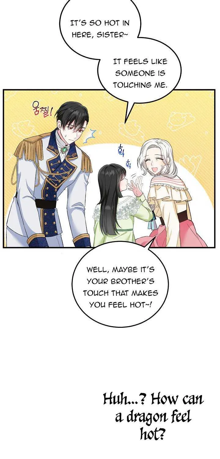 The Heroine Wants Me As Her Sister-in-Law Chapter 12 page 28 - 