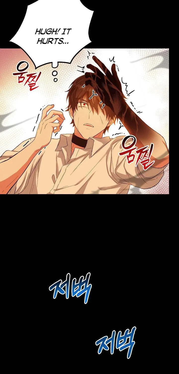 The Heroine Wants Me As Her Sister-in-Law Chapter 14 page 5 - 