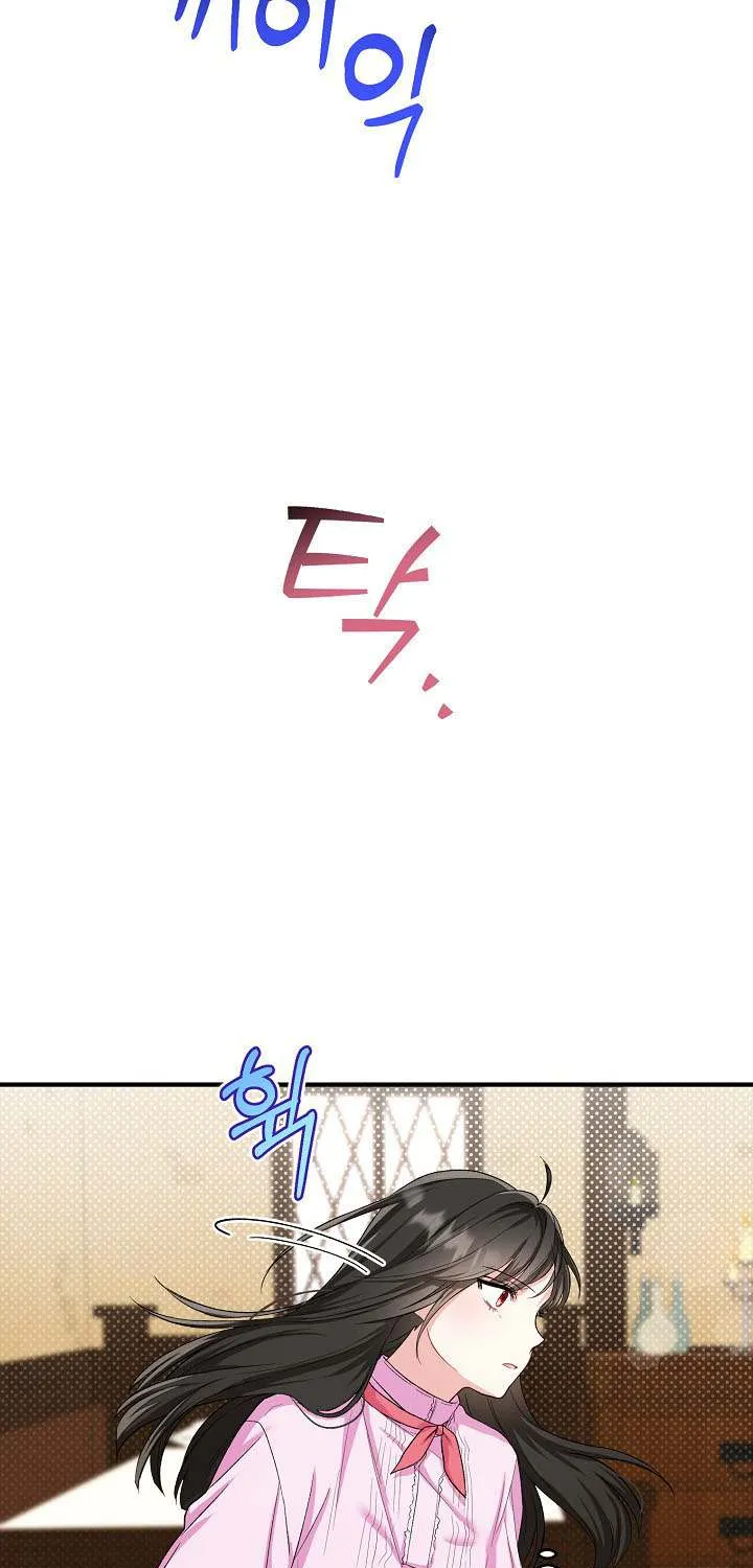 The Heroine Wants Me As Her Sister-in-Law Chapter 14 page 43 - 