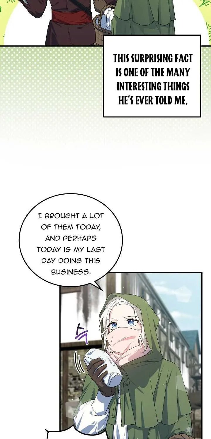 The Heroine Wants Me As Her Sister-in-Law Chapter 15 page 31 - 
