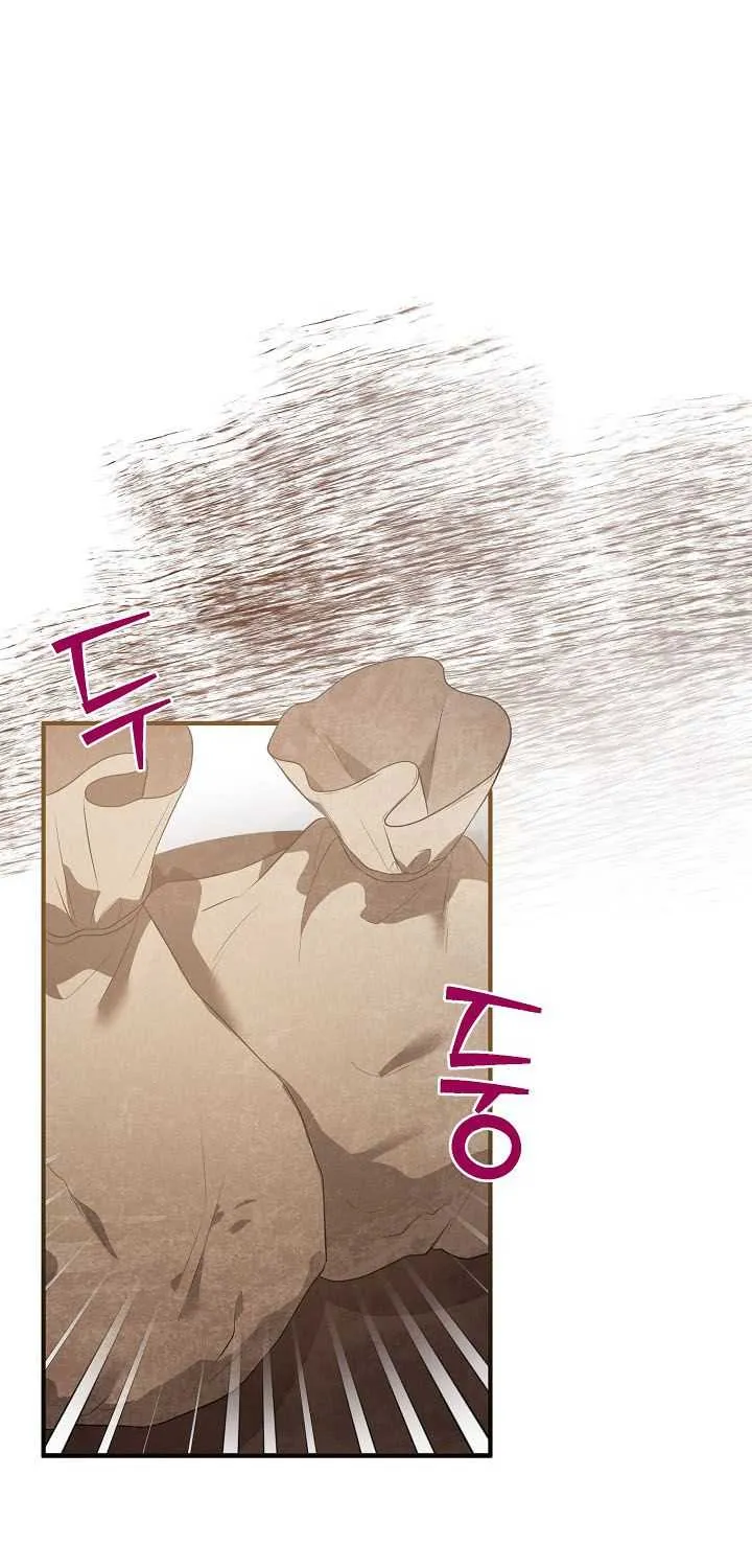 The Heroine Wants Me As Her Sister-in-Law Chapter 15 page 5 - 