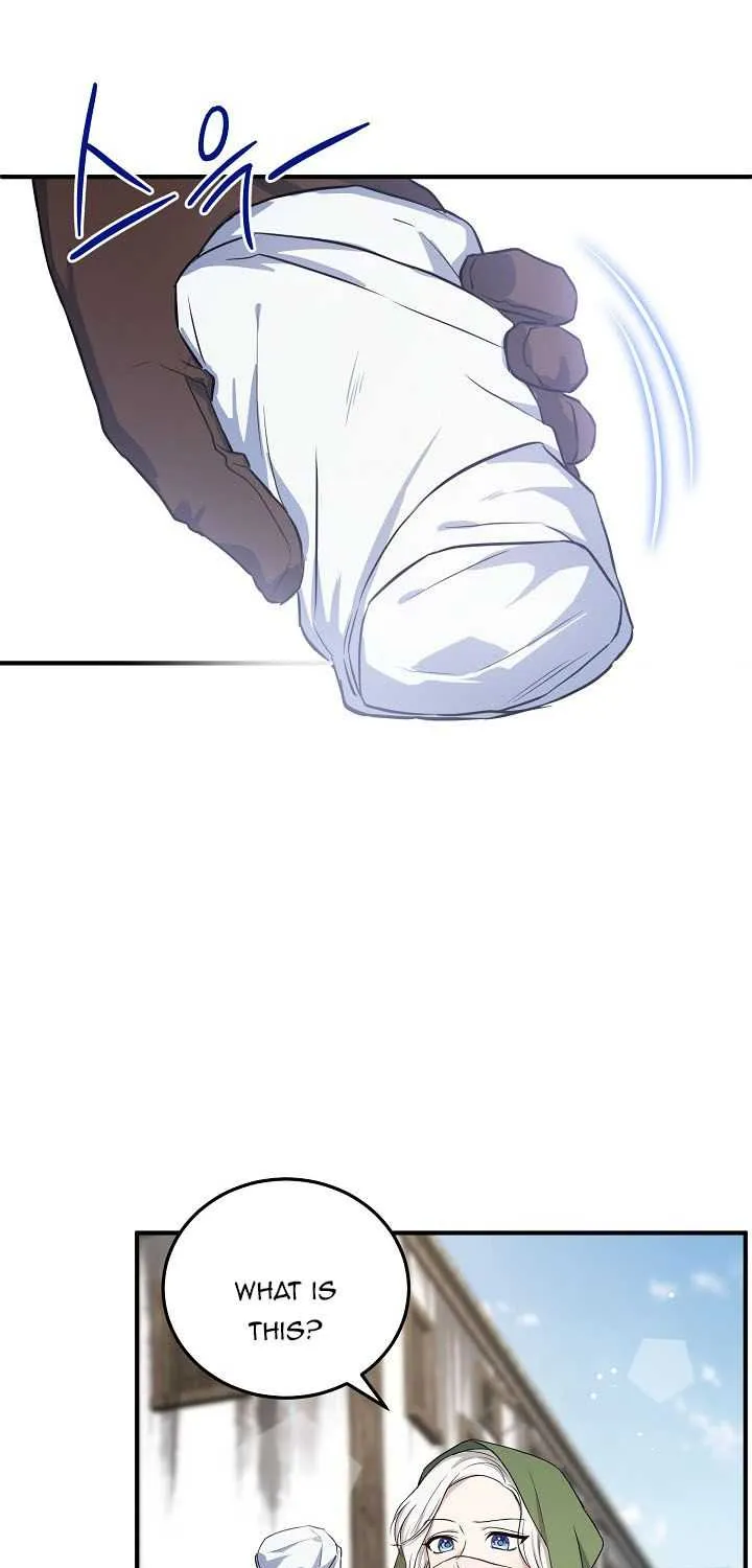 The Heroine Wants Me As Her Sister-in-Law Chapter 15 page 41 - 