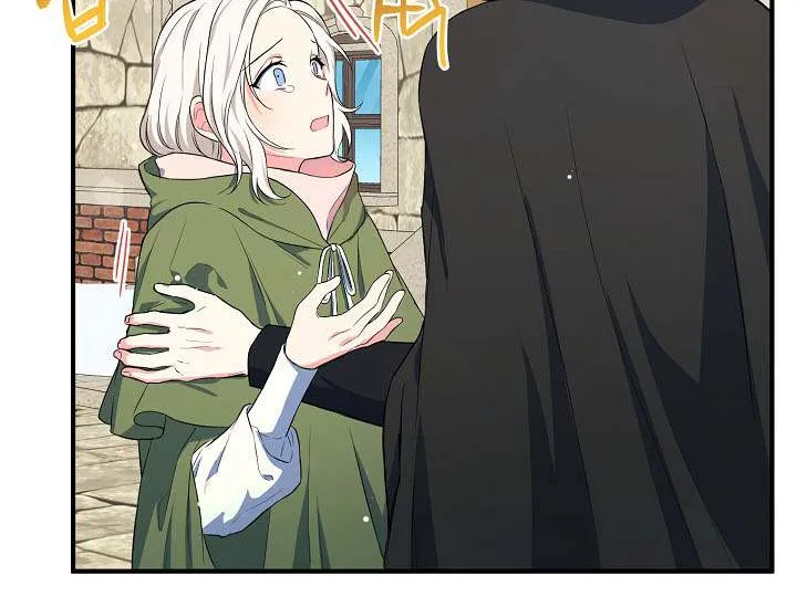 The Heroine Wants Me As Her Sister-in-Law Chapter 16 page 24 - 