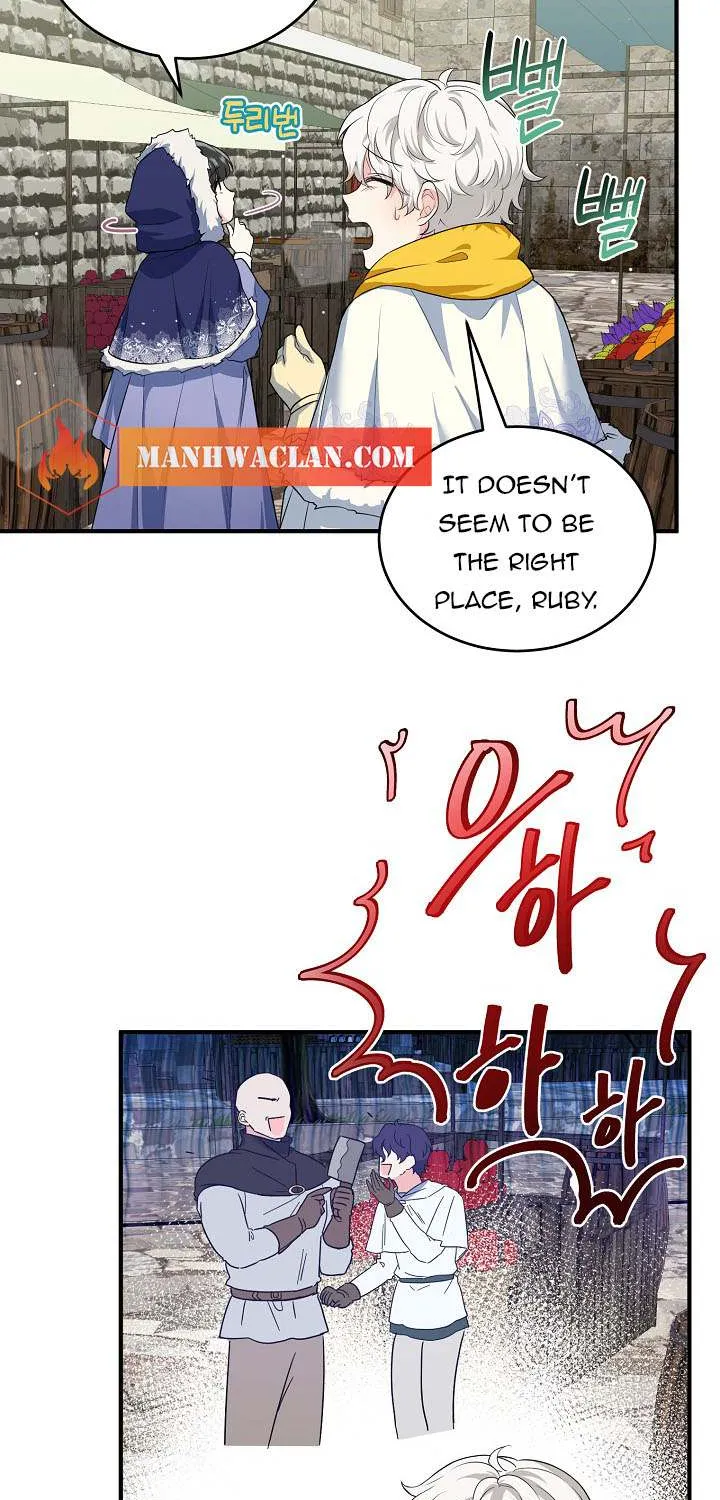 The Heroine Wants Me As Her Sister-in-Law Chapter 16 page 31 - 
