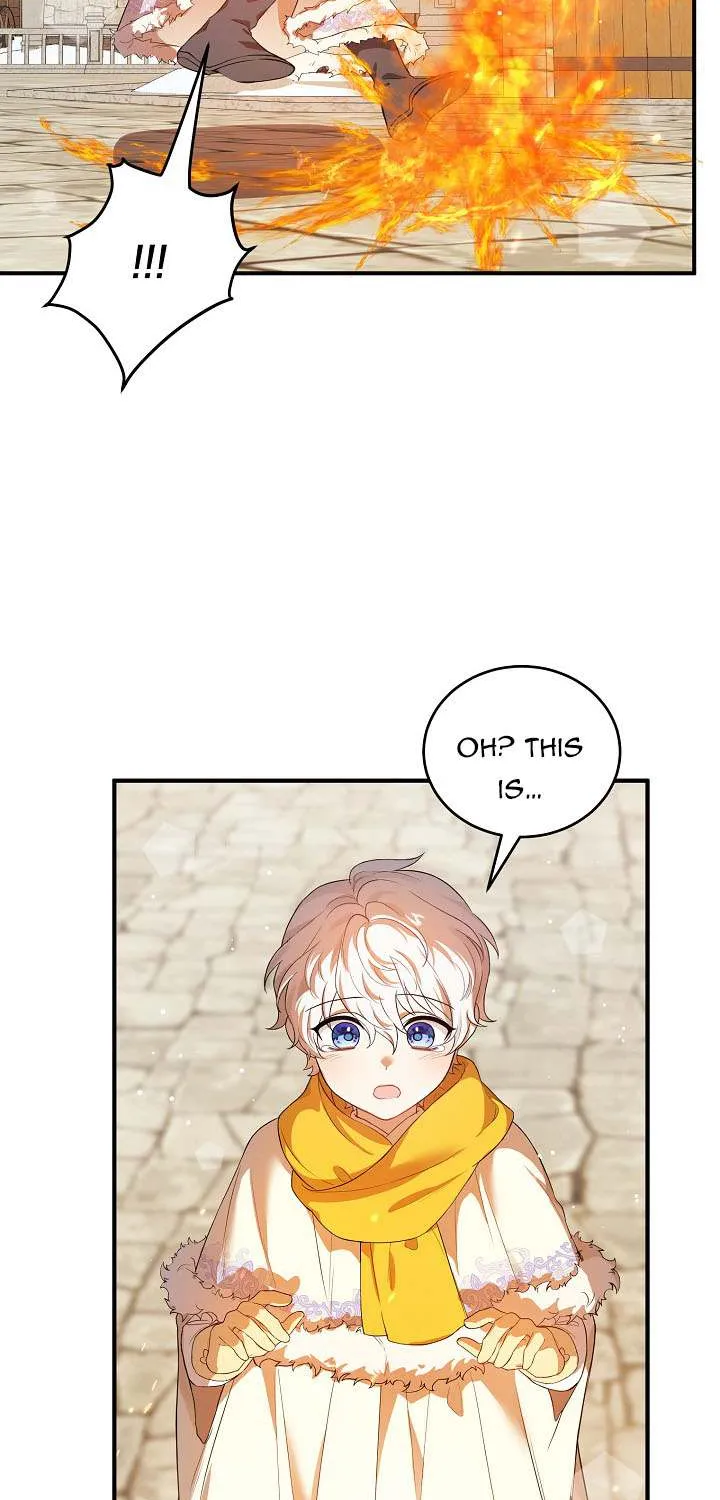 The Heroine Wants Me As Her Sister-in-Law Chapter 16 page 51 - 
