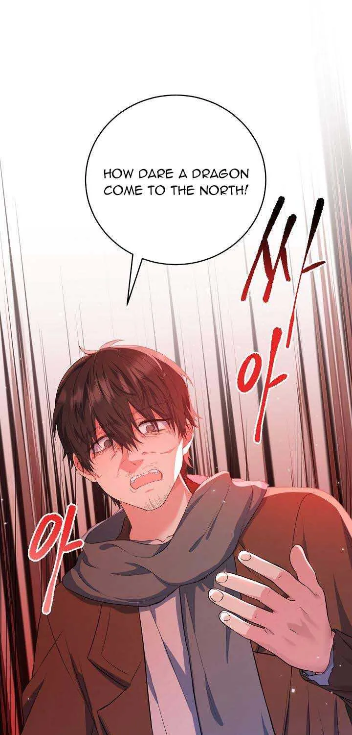 The Heroine Wants Me As Her Sister-in-Law Chapter 17 page 18 - 
