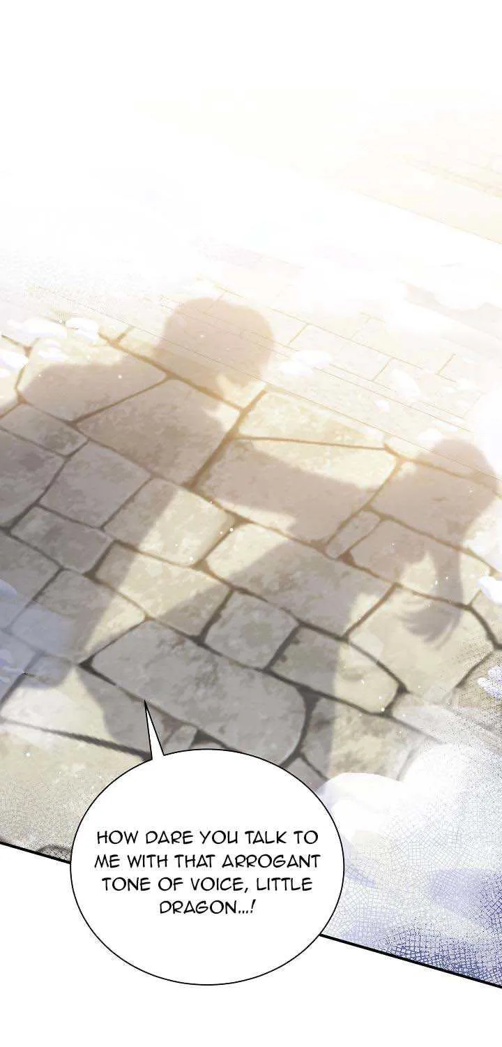 The Heroine Wants Me As Her Sister-in-Law Chapter 17 page 20 - 
