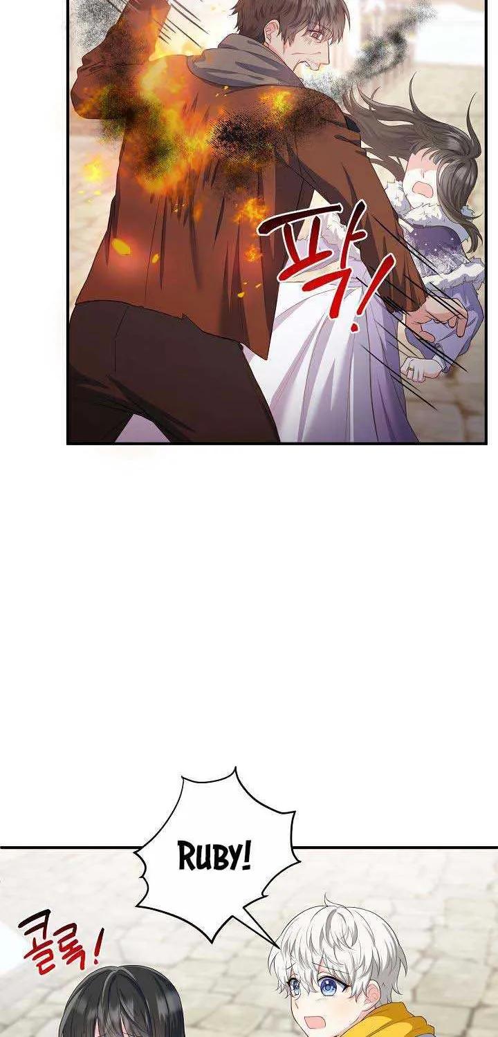 The Heroine Wants Me As Her Sister-in-Law Chapter 17 page 29 - 