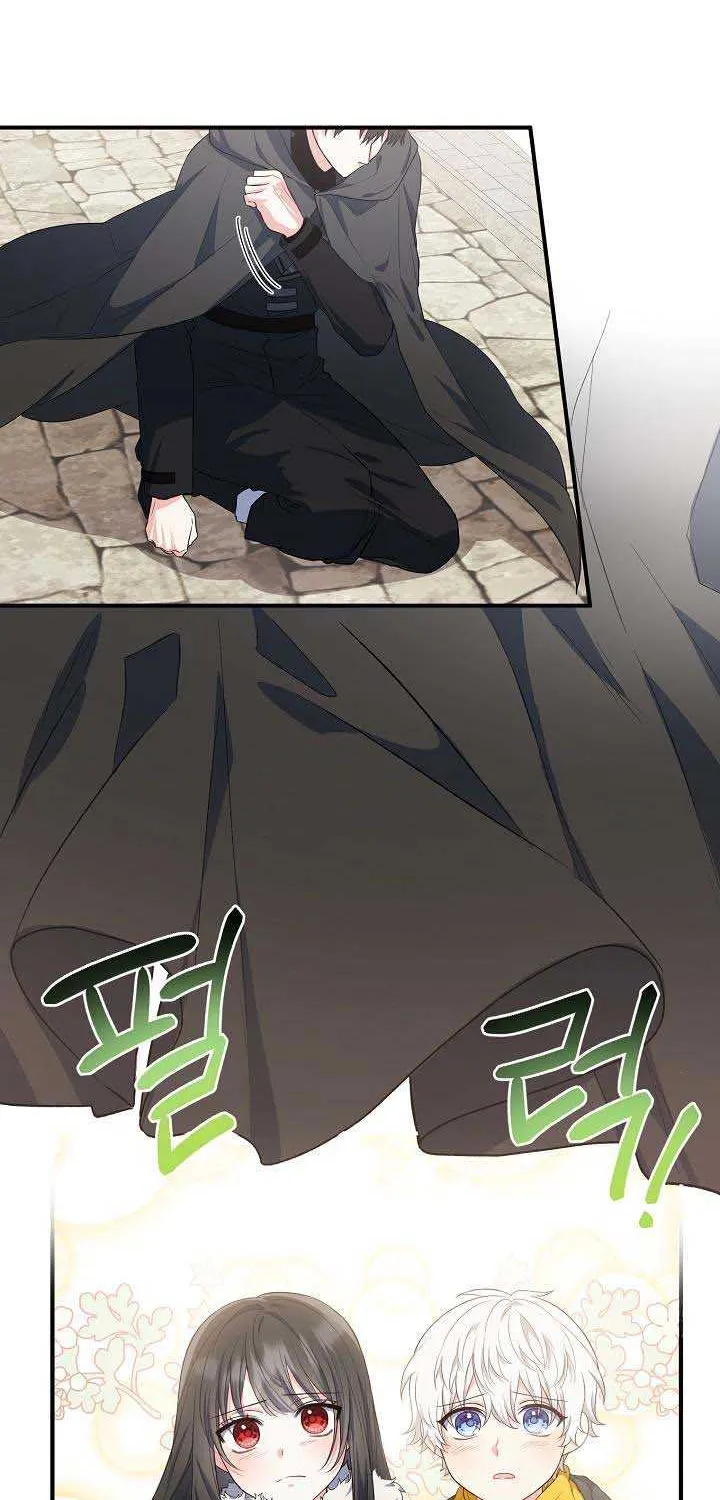 The Heroine Wants Me As Her Sister-in-Law Chapter 17 page 36 - 