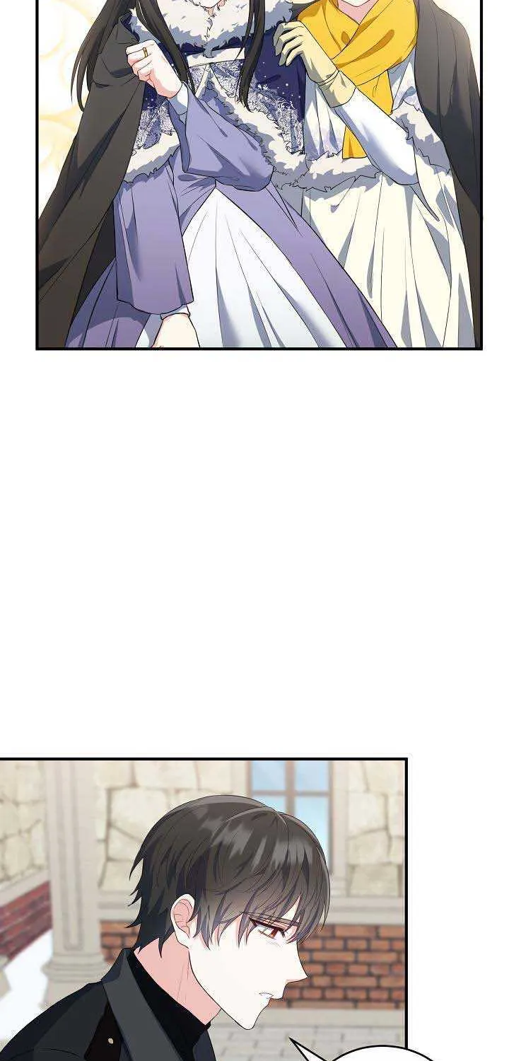 The Heroine Wants Me As Her Sister-in-Law Chapter 17 page 37 - 