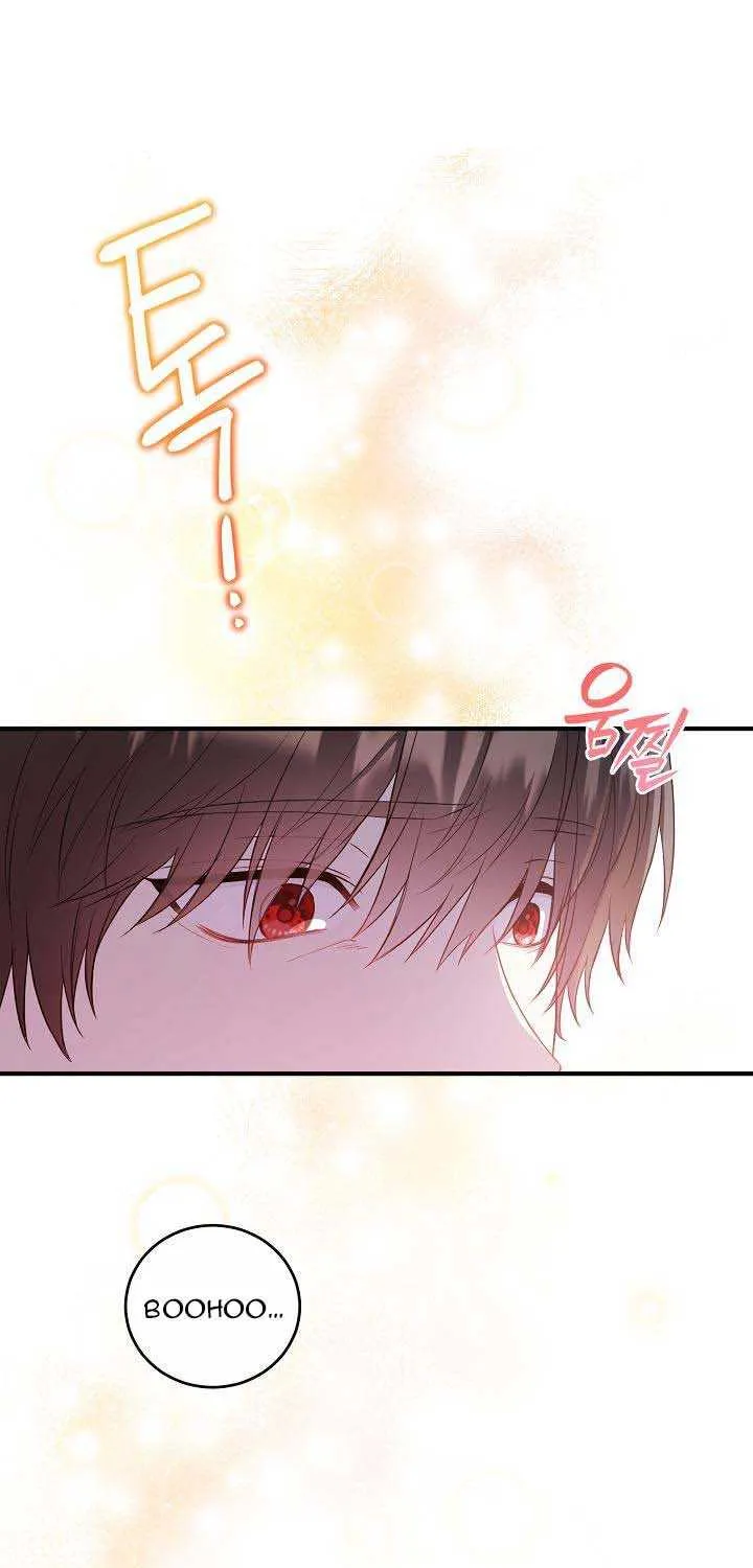 The Heroine Wants Me As Her Sister-in-Law Chapter 17 page 41 - 