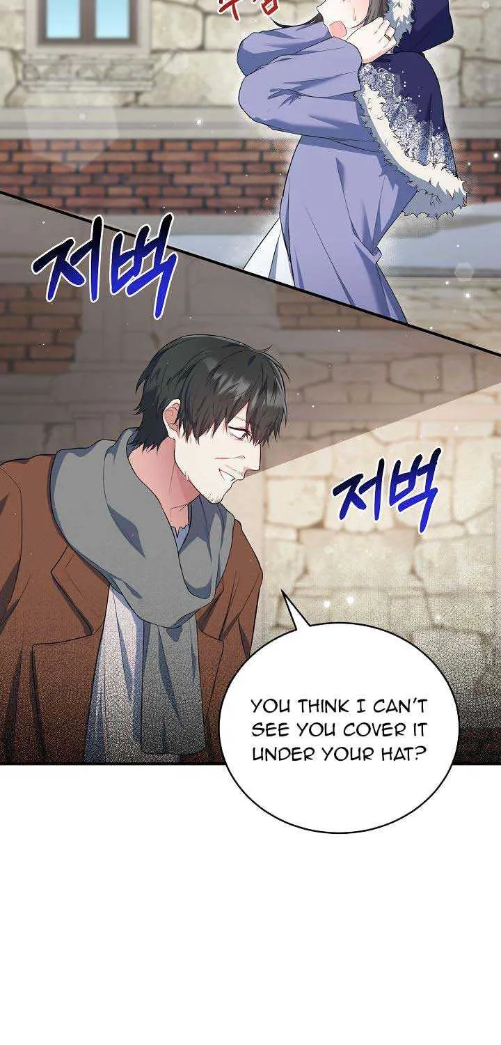 The Heroine Wants Me As Her Sister-in-Law Chapter 17 page 6 - 