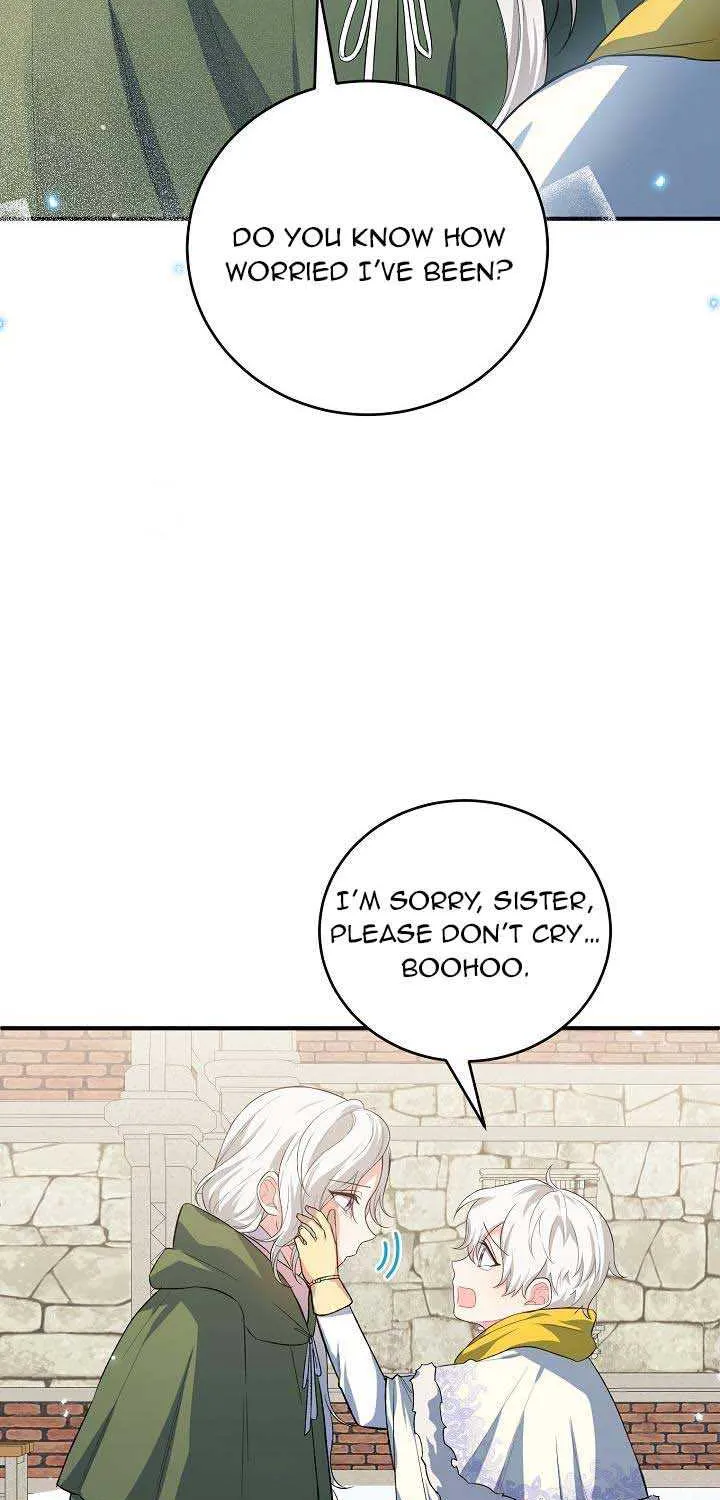 The Heroine Wants Me As Her Sister-in-Law Chapter 18 page 29 - 