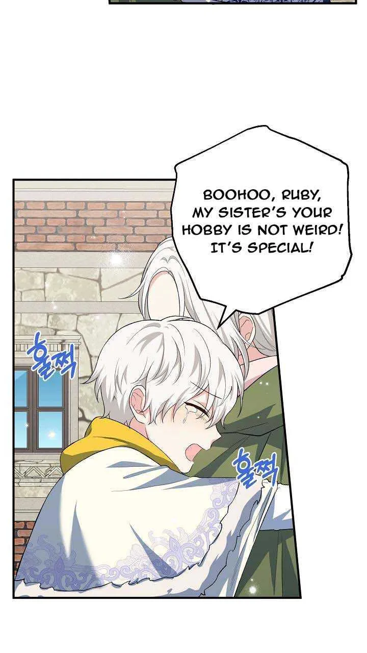 The Heroine Wants Me As Her Sister-in-Law Chapter 18 page 36 - 