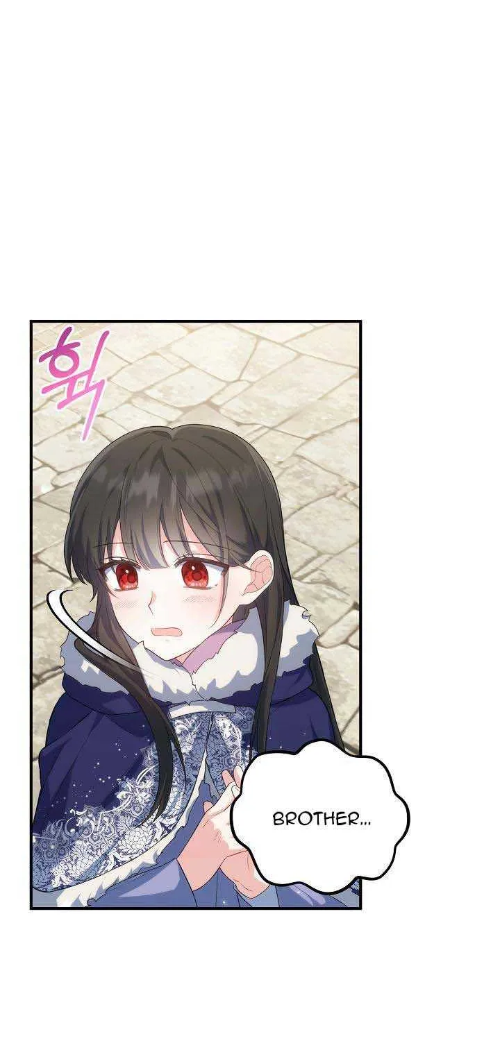 The Heroine Wants Me As Her Sister-in-Law Chapter 18 page 48 - 