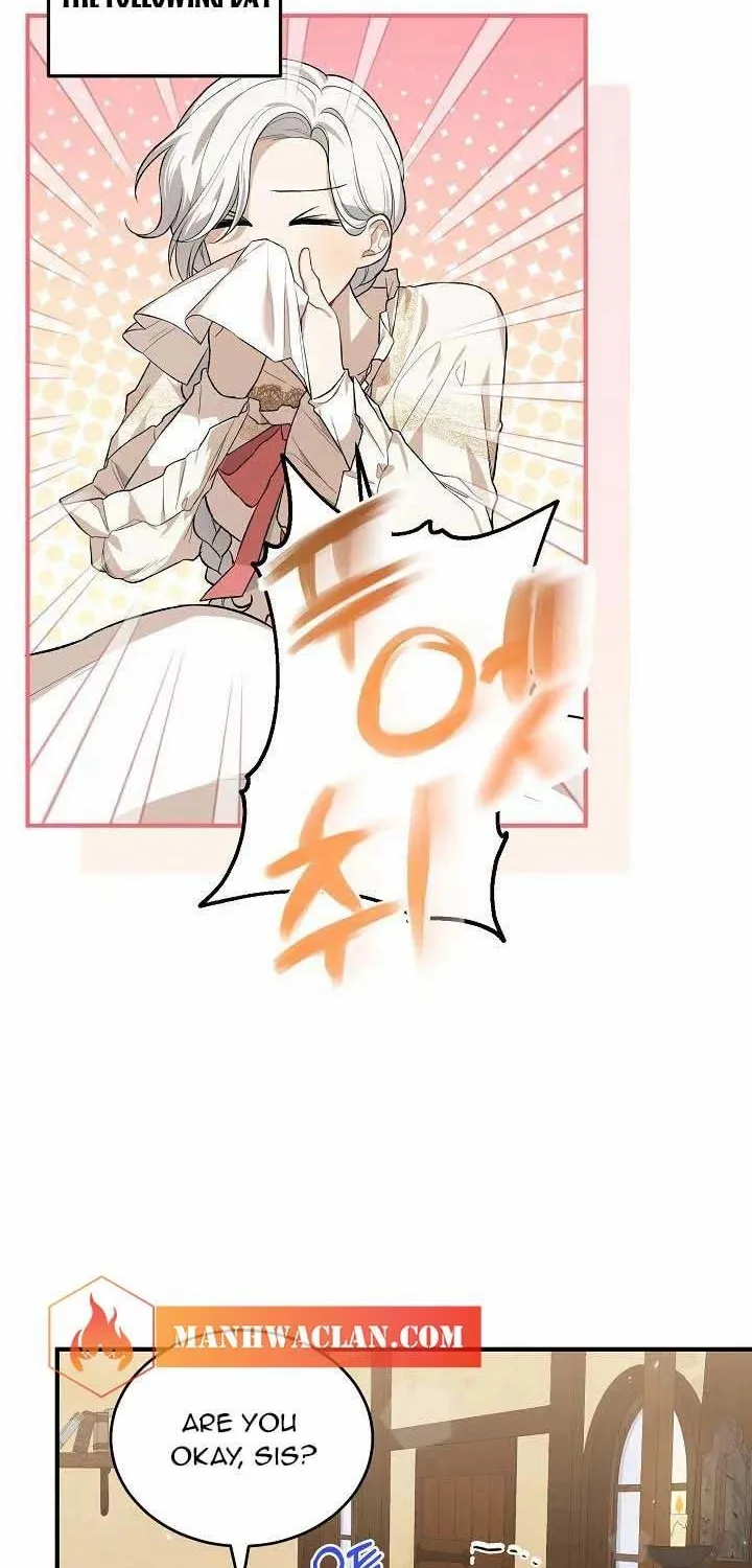 The Heroine Wants Me As Her Sister-in-Law Chapter 19 page 46 - 