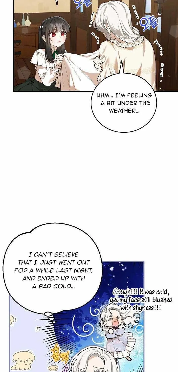 The Heroine Wants Me As Her Sister-in-Law Chapter 19 page 47 - 