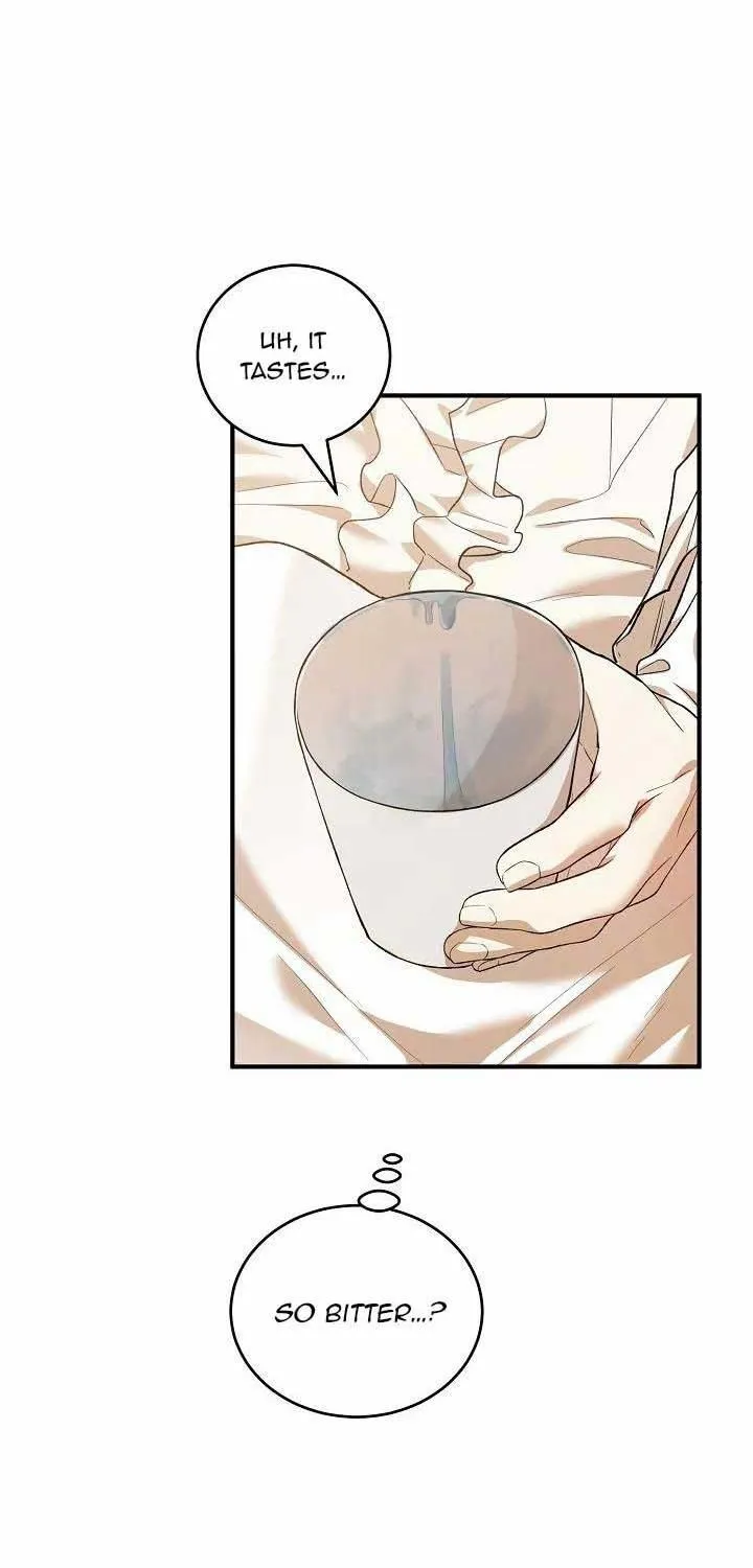 The Heroine Wants Me As Her Sister-in-Law Chapter 19 page 63 - 