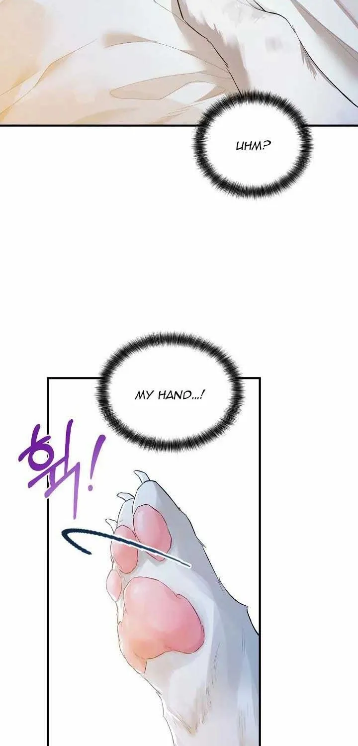 The Heroine Wants Me As Her Sister-in-Law Chapter 19 page 72 - 