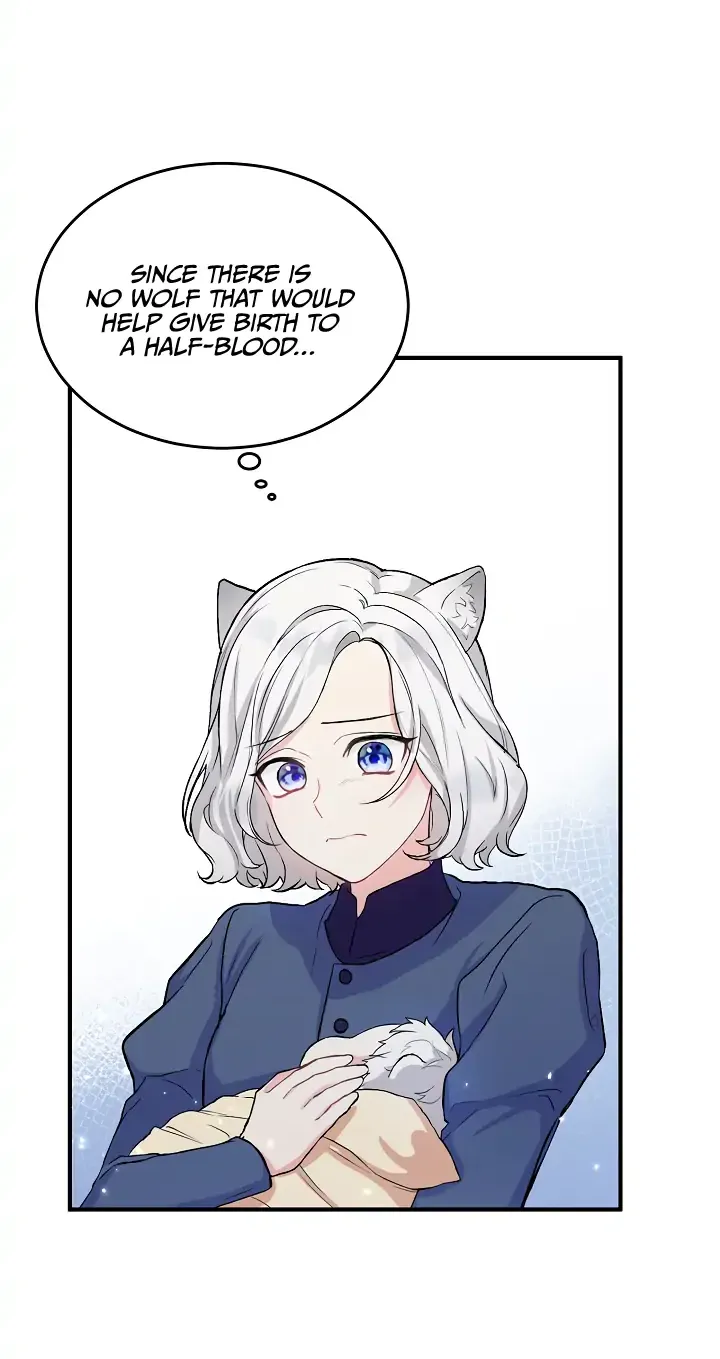 The Heroine Wants Me As Her Sister-in-Law Chapter 2 page 27 - 