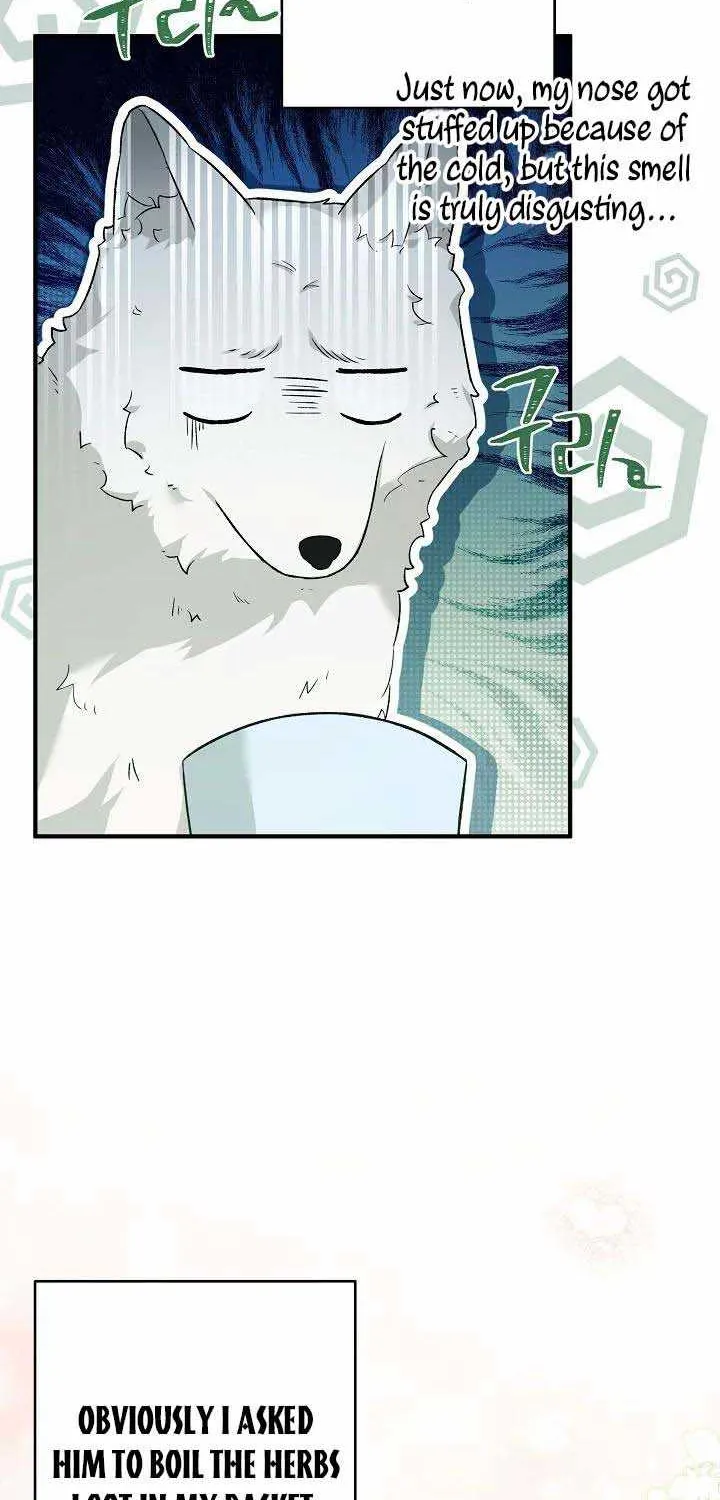 The Heroine Wants Me As Her Sister-in-Law Chapter 20 page 17 - 