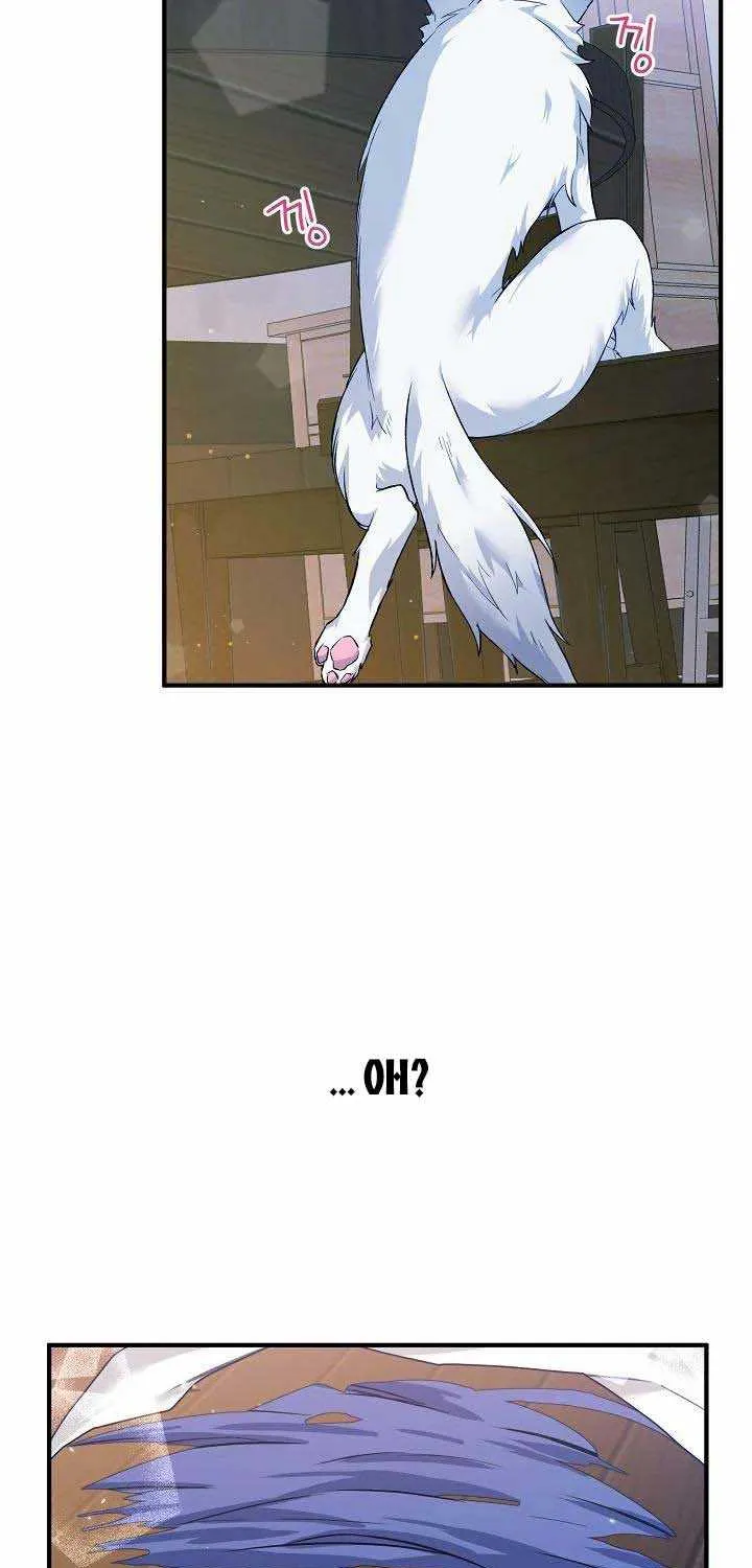The Heroine Wants Me As Her Sister-in-Law Chapter 20 page 20 - 