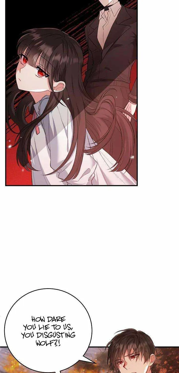 The Heroine Wants Me As Her Sister-in-Law Chapter 20 page 25 - 