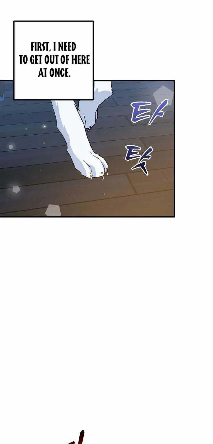 The Heroine Wants Me As Her Sister-in-Law Chapter 20 page 27 - 