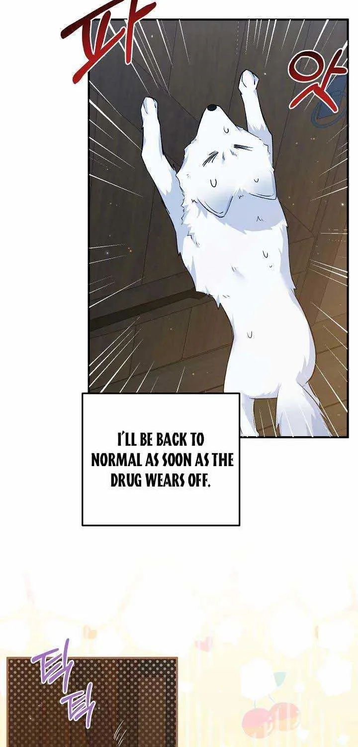 The Heroine Wants Me As Her Sister-in-Law Chapter 20 page 28 - 