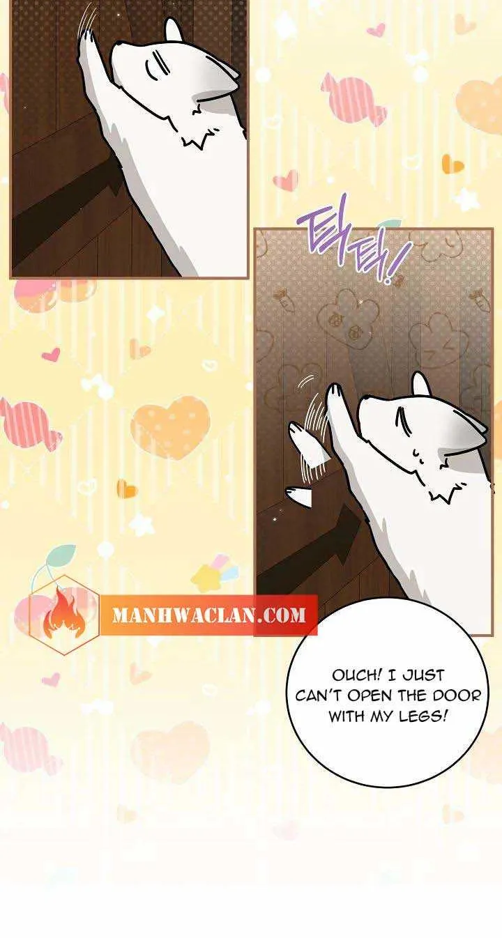 The Heroine Wants Me As Her Sister-in-Law Chapter 20 page 29 - 