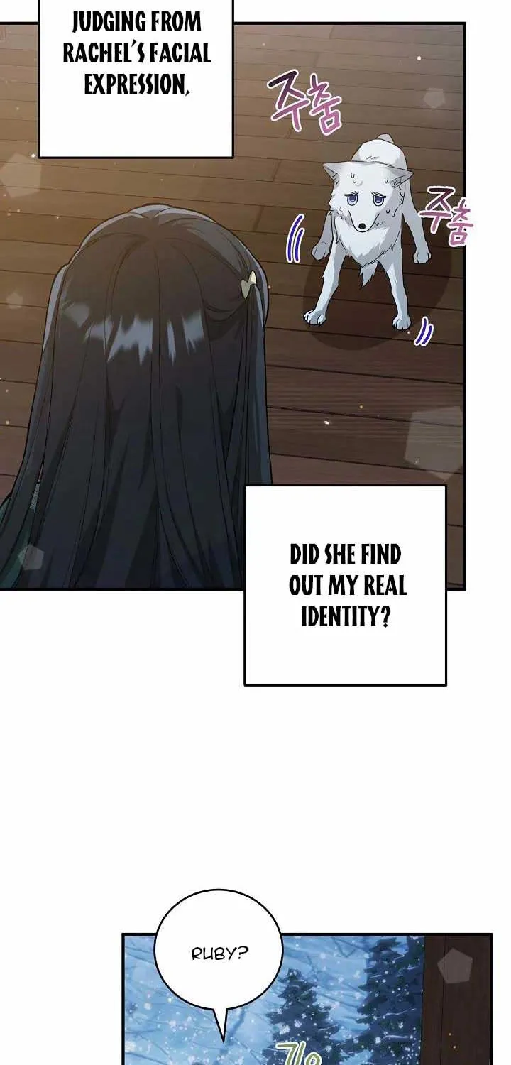 The Heroine Wants Me As Her Sister-in-Law Chapter 20 page 35 - 