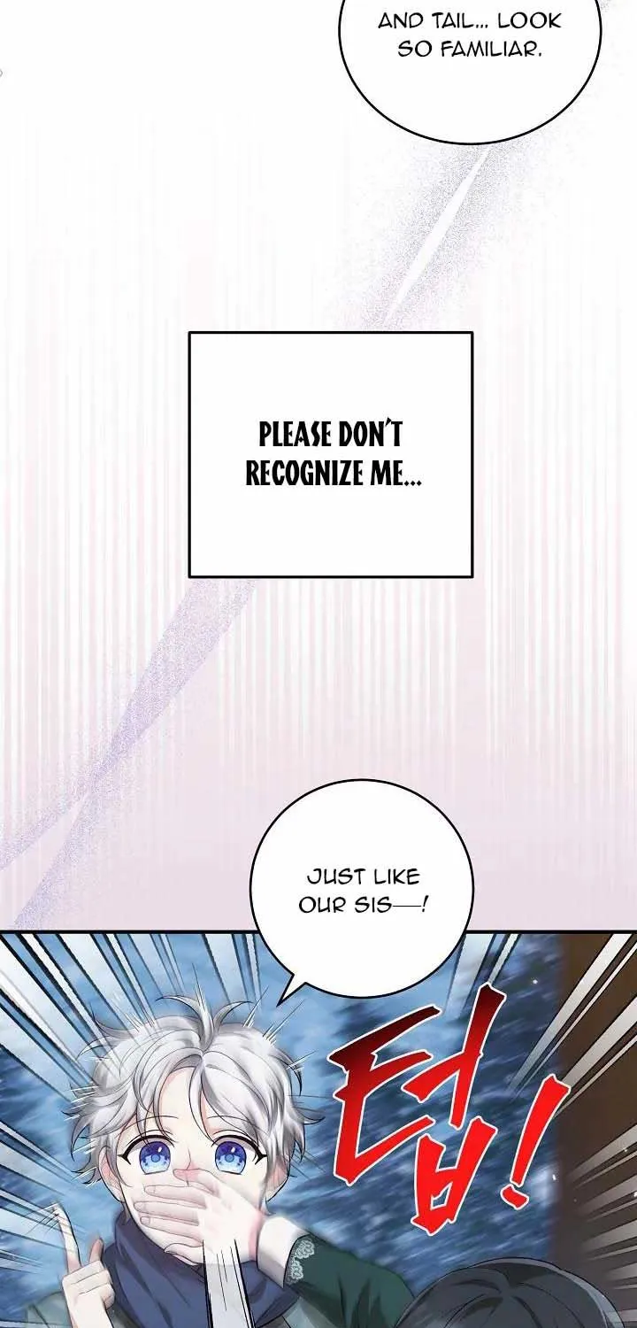 The Heroine Wants Me As Her Sister-in-Law Chapter 20 page 40 - 