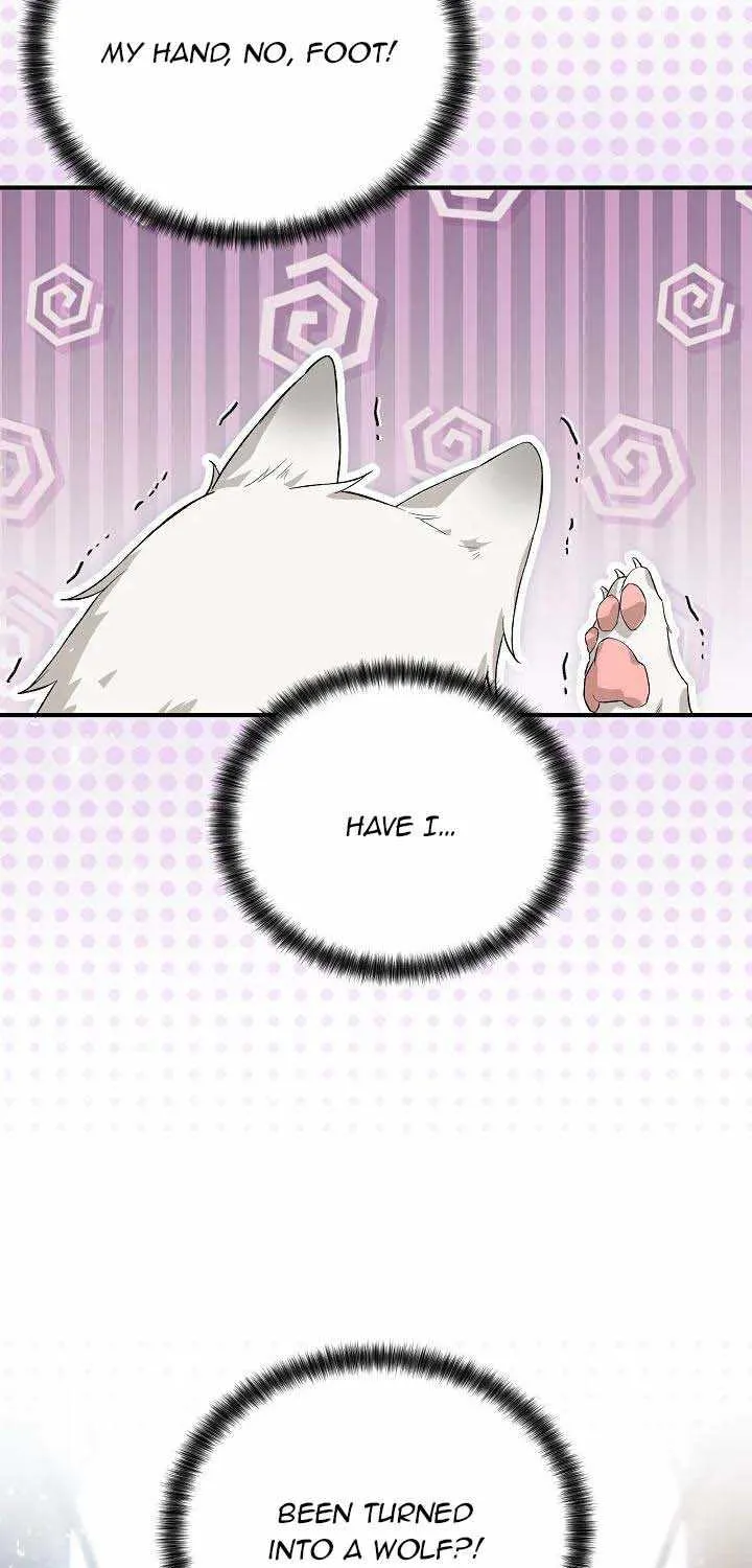 The Heroine Wants Me As Her Sister-in-Law Chapter 20 page 5 - 