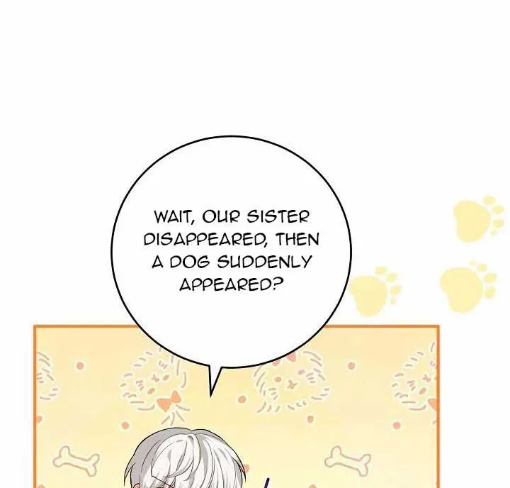 The Heroine Wants Me As Her Sister-in-Law Chapter 20 page 44 - 