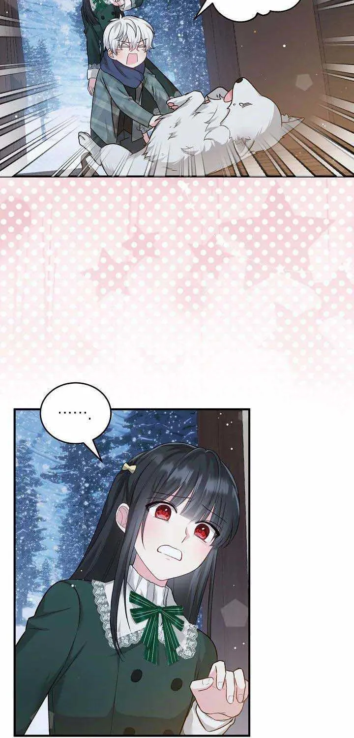 The Heroine Wants Me As Her Sister-in-Law Chapter 20 page 48 - 