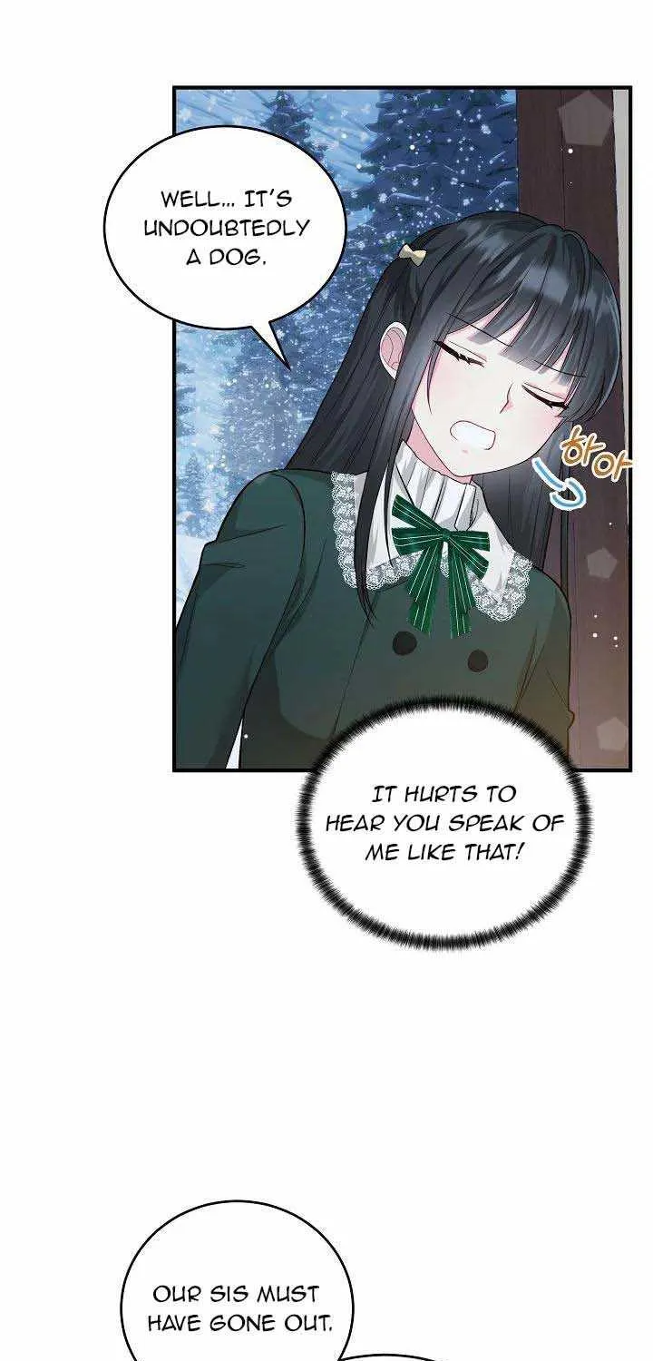 The Heroine Wants Me As Her Sister-in-Law Chapter 20 page 49 - 