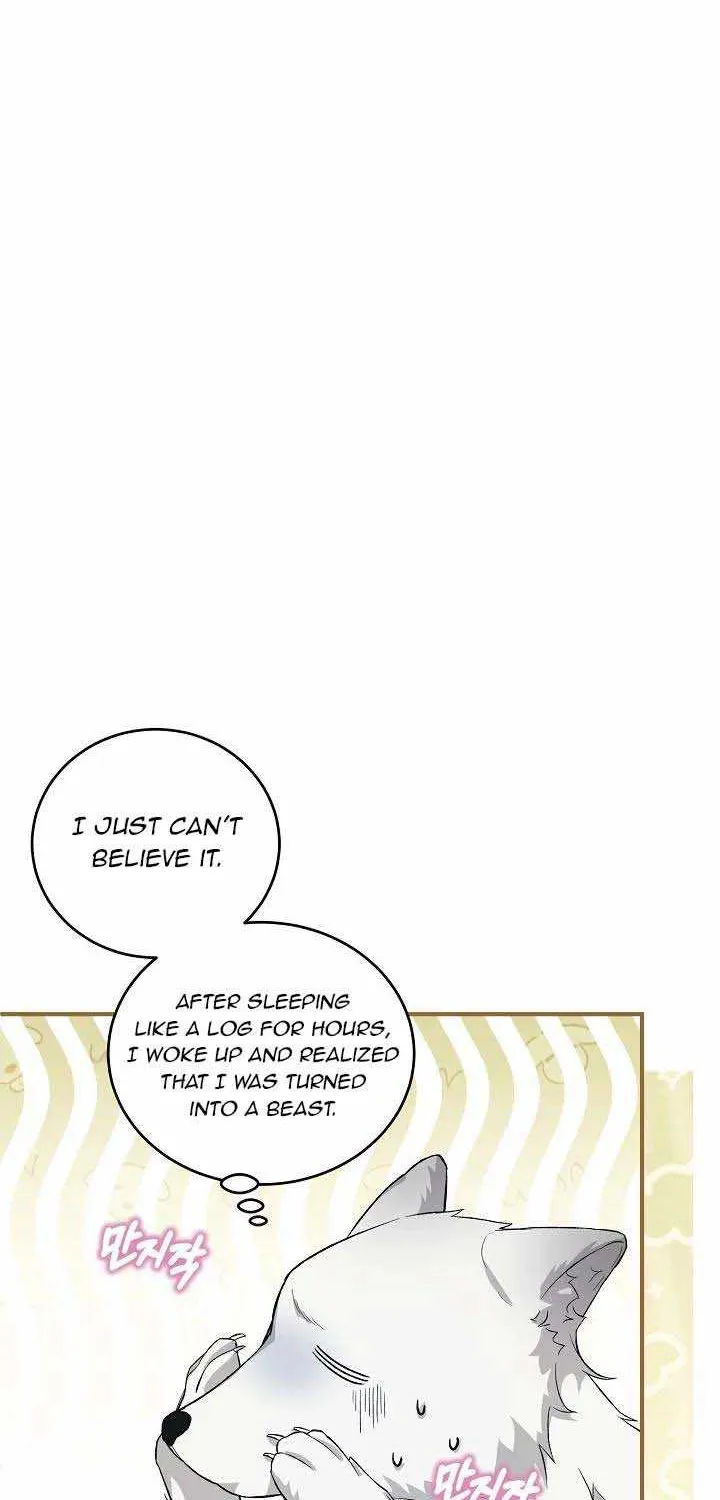 The Heroine Wants Me As Her Sister-in-Law Chapter 20 page 8 - 