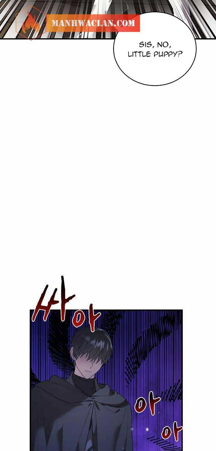 The Heroine Wants Me As Her Sister-in-Law Chapter 21 page 21 - 