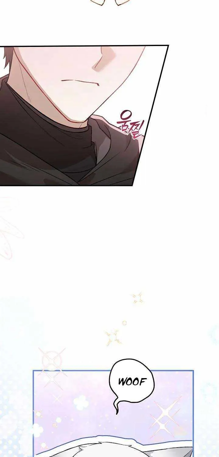 The Heroine Wants Me As Her Sister-in-Law Chapter 21 page 25 - 