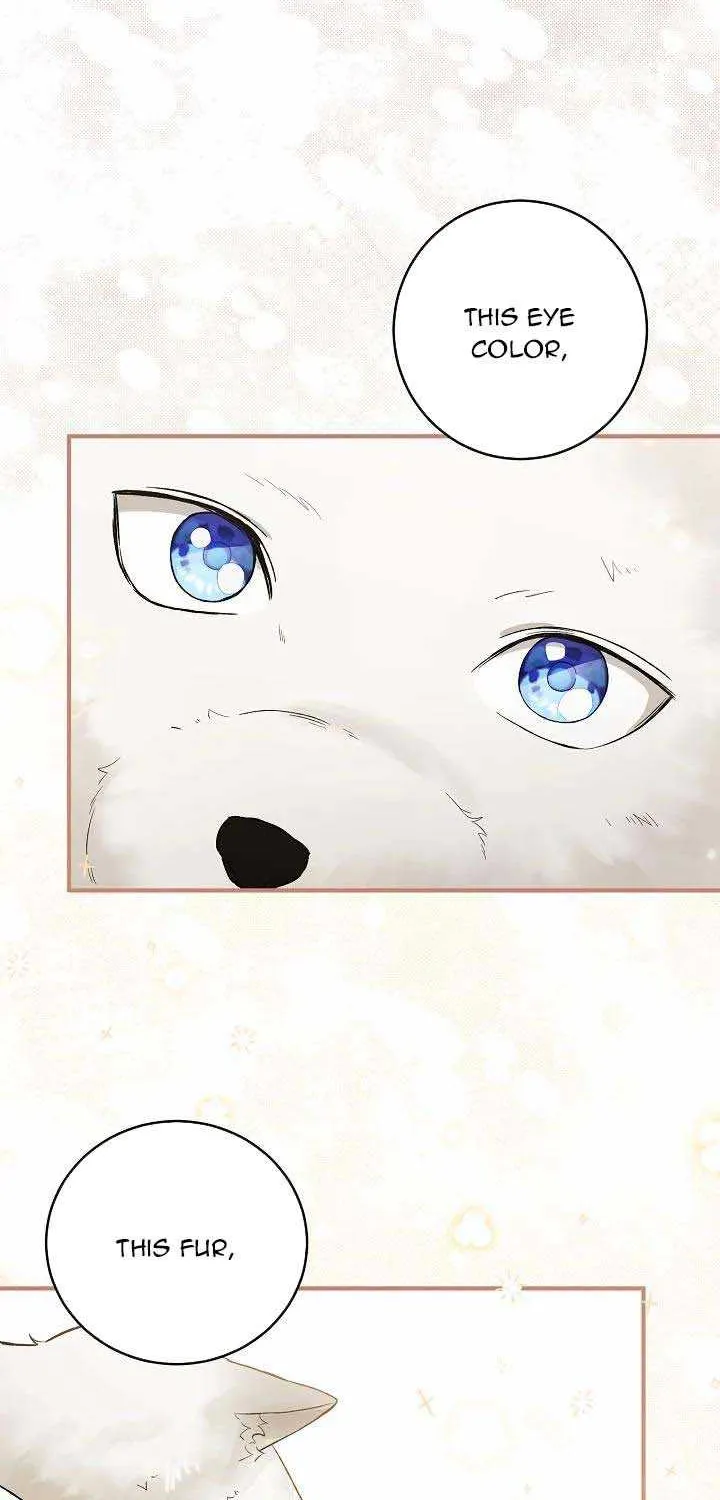 The Heroine Wants Me As Her Sister-in-Law Chapter 21 page 30 - 