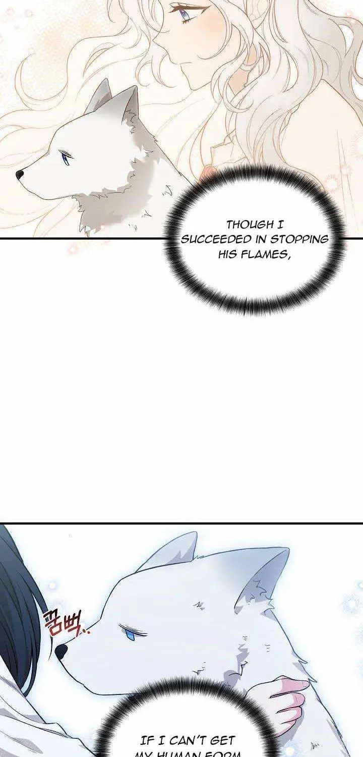 The Heroine Wants Me As Her Sister-in-Law Chapter 21 page 58 - 