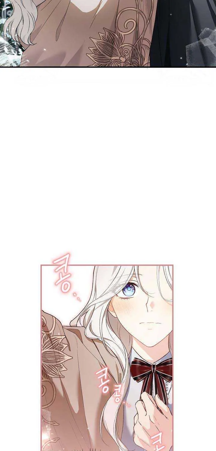 The Heroine Wants Me As Her Sister-in-Law Chapter 23 page 19 - 