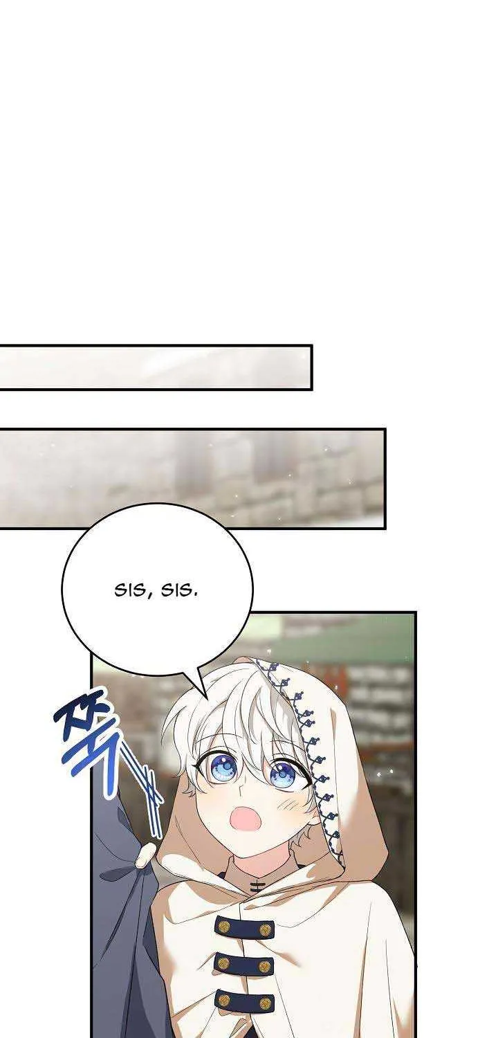 The Heroine Wants Me As Her Sister-in-Law Chapter 23 page 28 - 