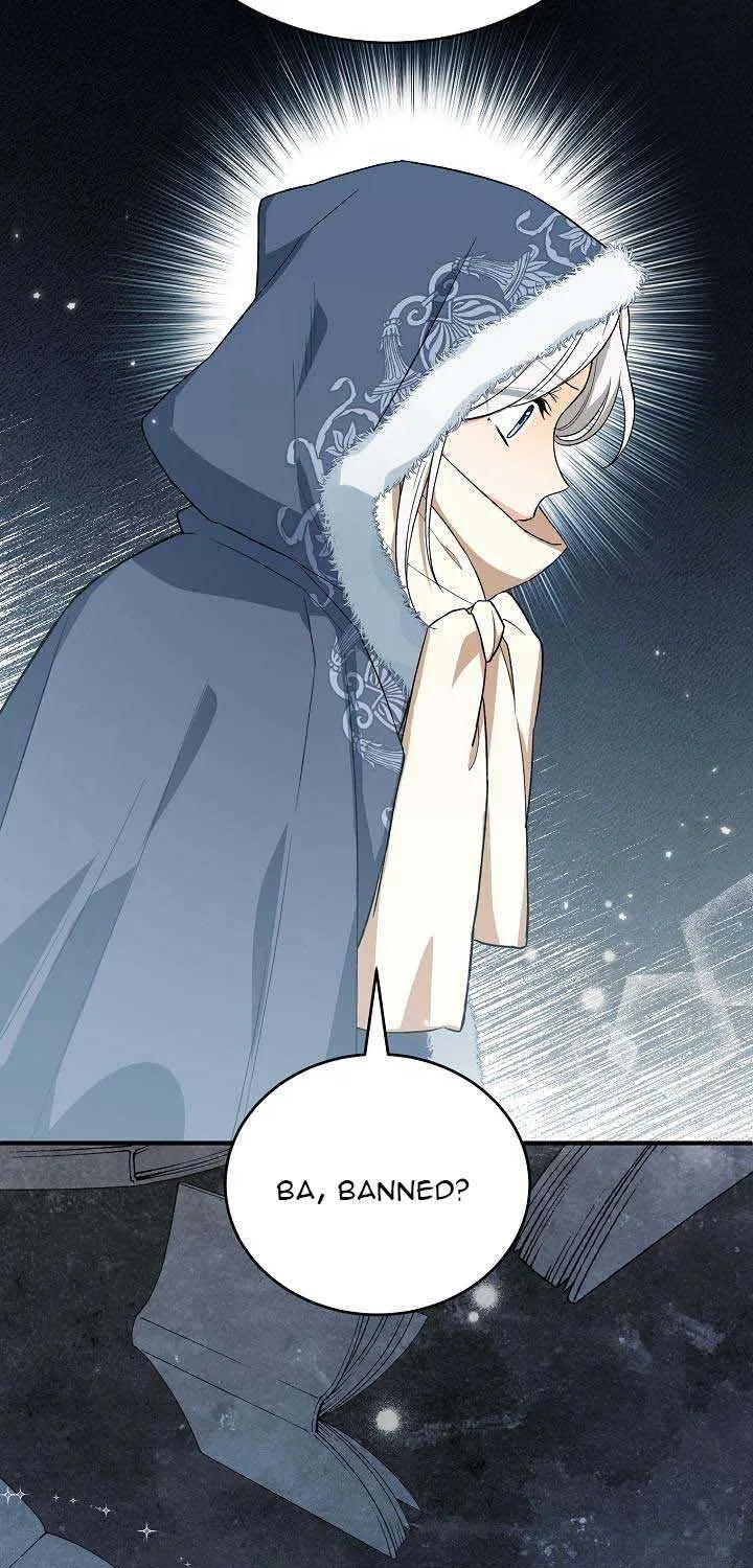 The Heroine Wants Me As Her Sister-in-Law Chapter 23 page 45 - 