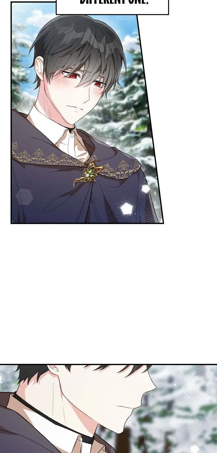 The Heroine Wants Me As Her Sister-in-Law Chapter 24 page 42 - 