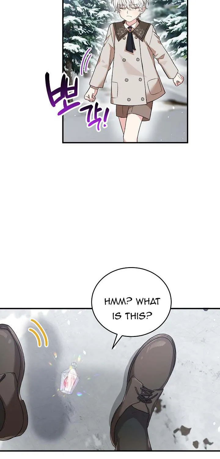 The Heroine Wants Me As Her Sister-in-Law Chapter 24 page 62 - 
