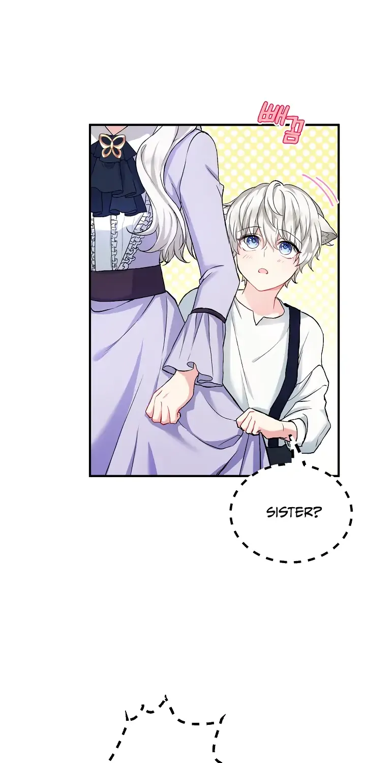 The Heroine Wants Me As Her Sister-in-Law Chapter 3 page 15 - 