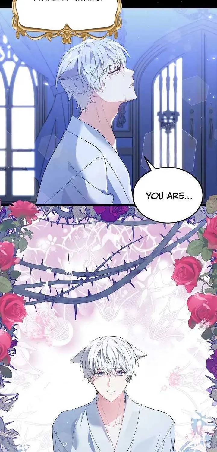 The Heroine Wants Me As Her Sister-in-Law Chapter 3 page 4 - 