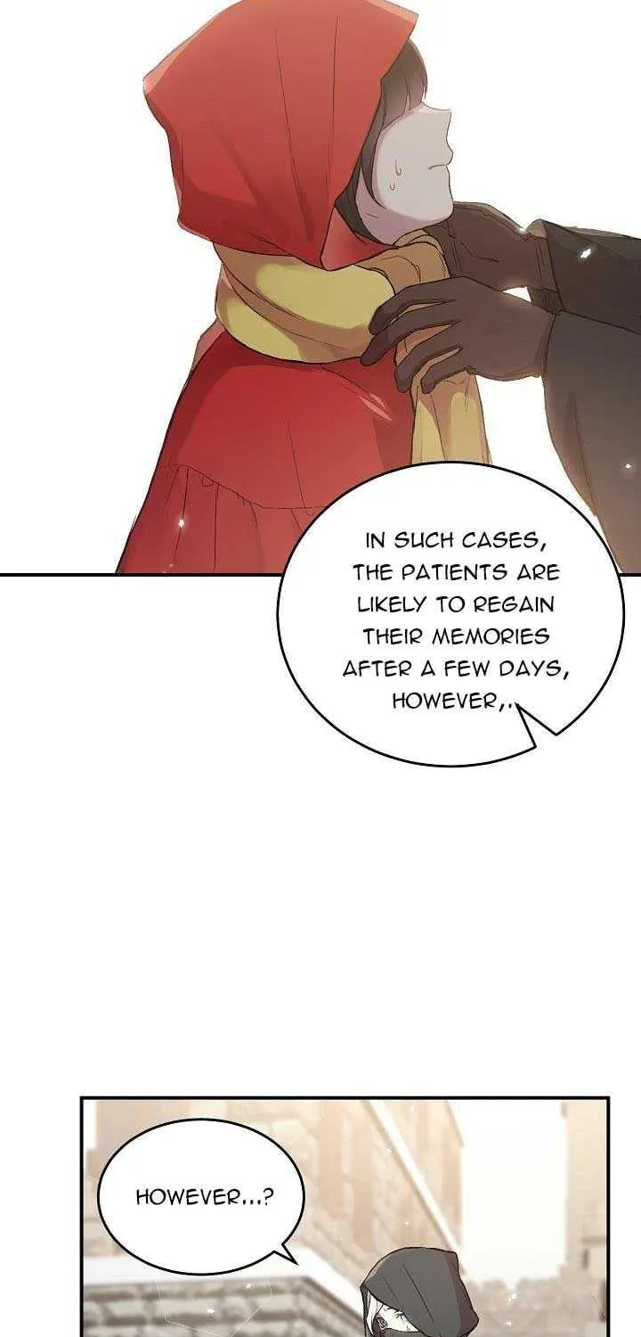 The Heroine Wants Me As Her Sister-in-Law Chapter 4 page 29 - 